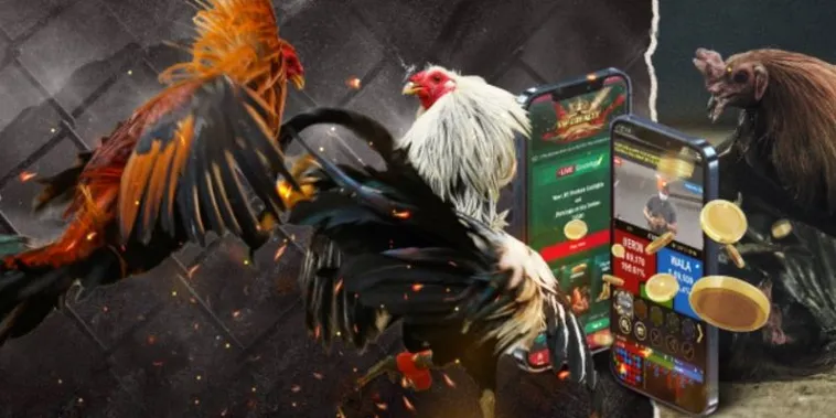 Toàn Tập Cách Chơi Đá Gà GA28 Tại 6623 Cho Người Mới 2 Toàn Tập Cách Chơi Đá Gà GA28 Tại 6623 Cho Người Mới