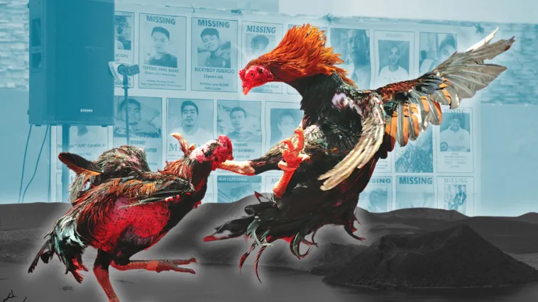 Chinh Phục Cách Chơi Đá Gà Sabong Tại 6623 Như Cao Thủ