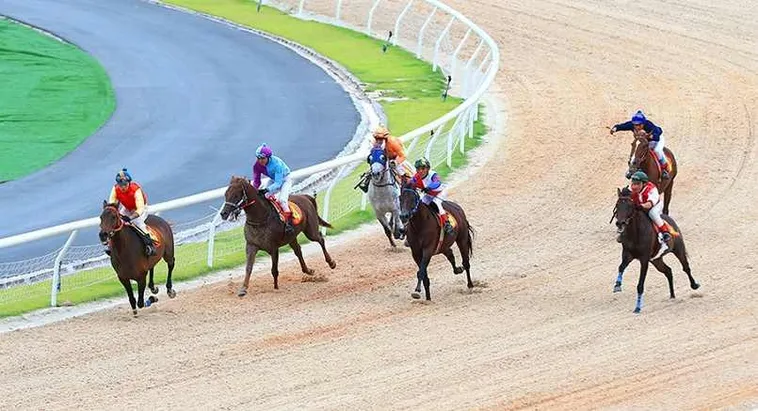 Bật Mí Cách Cá Cược Đua Ngựa 6623 Chắc Thắng Từ Trường Đua